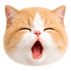 meowmeow 9 (: