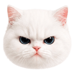meowmeow 10 (: