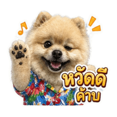 Ying_20260430230654