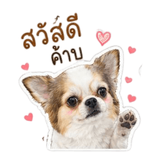 Mydoublexdog