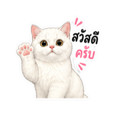 Kim_20260430232107