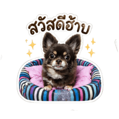 kamon_20260430232433