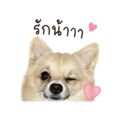 Khun PP_20260430232841