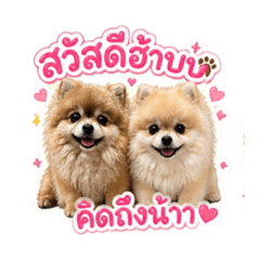 Pinky & Numchoke