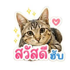 Cute_20260430235325
