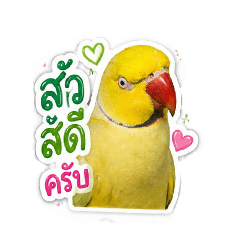 eiei_20260501000509