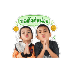 netrnarins
