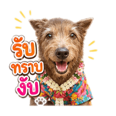 Sniff Ver.1