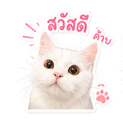 Samlee01