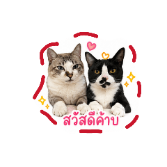 Nook_20260501003457