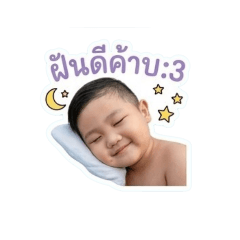 Panot_2536