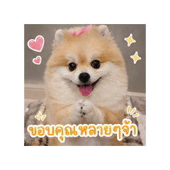 sucharat_20260501004115