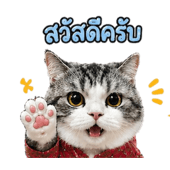 Beam_20260501012052