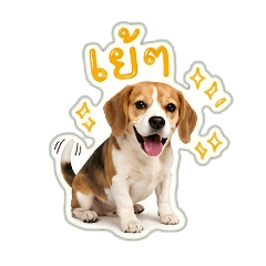 Sandee Beagle_20260501012001