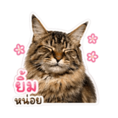 AunXINhew_20260501013005