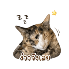 Orrawan_20260501014916