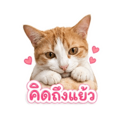 Yuzu_20260501015221