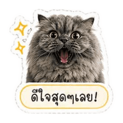 Kawinthida Saengsuwan