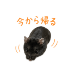 nao_20260604144516