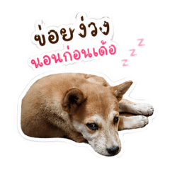 Hello Judy did