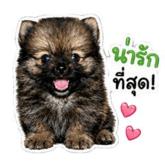 ming_20260501030804