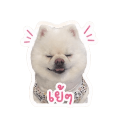 Baibua:)_20260501042239