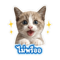 Aun_20260501044037