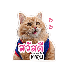 jajaa_20260501045436