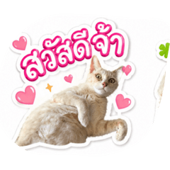 Love_20260501050115