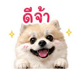 numnayyy._20260501051103
