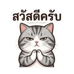 sarawut jaisaard_20260501051300
