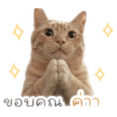 Love_20260501052210