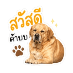 Buddy Nong Nam Phu