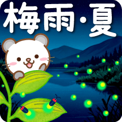 Panda cat Pannya, rainday moving japan