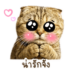 jasmin_20260501055344