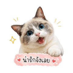 numnayyy._20260501063812
