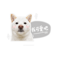 NUO MIMI BB2.0