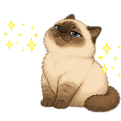 Cute cat daily II