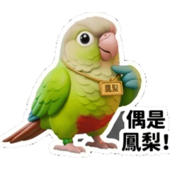 偶是鳳梨小鸚鵡