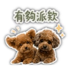 恩&軒的有夠派篇