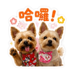 優格&啾咪