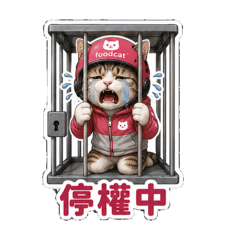 麻吉貓日常系列-外送篇