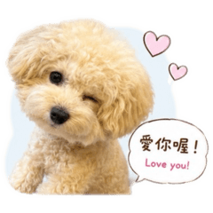 項嫚妮寶寶