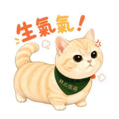 茶胖胖