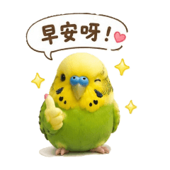 萌萌小虎皮