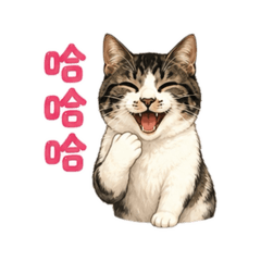 豆亮咪的日常