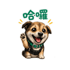 劉豆豆1