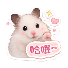 憨吉的日常2.0