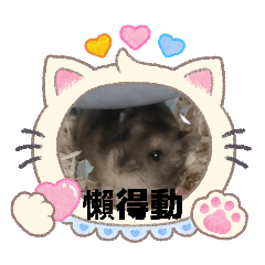可愛萌寵小倉鼠貼圖