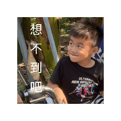 小光光日常
